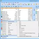 Menaxherët e skedarëve Menaxher i mirë i skedarëve Windows 7